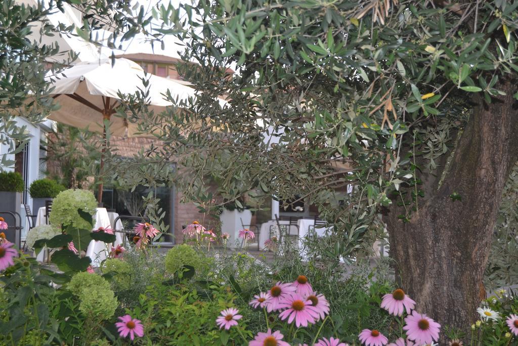 Albergo La Pace Segni Luaran gambar